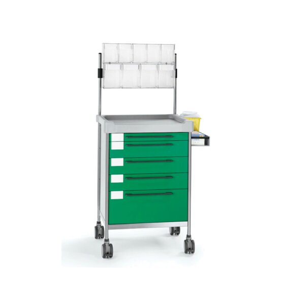 MRI cart Insausti