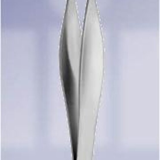 Feilchenfeld splinterpincet [7,5 cm]- DMS-078207