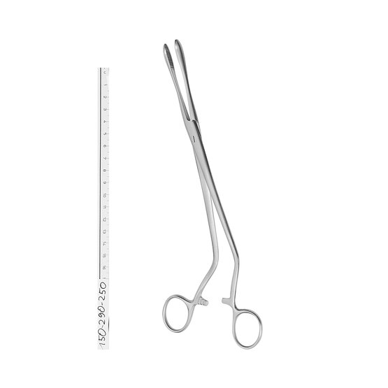 Sponge and dressing forceps - Cheron - 25cm 9 3/4