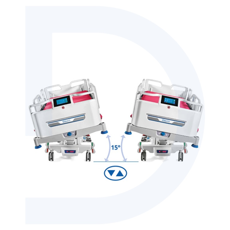 MalvestioVivo_06.jpg